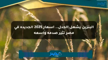 البنزين يشعل الجدل.. أسعار 2025 الجديدة في مصر تثير صدمة واسعة